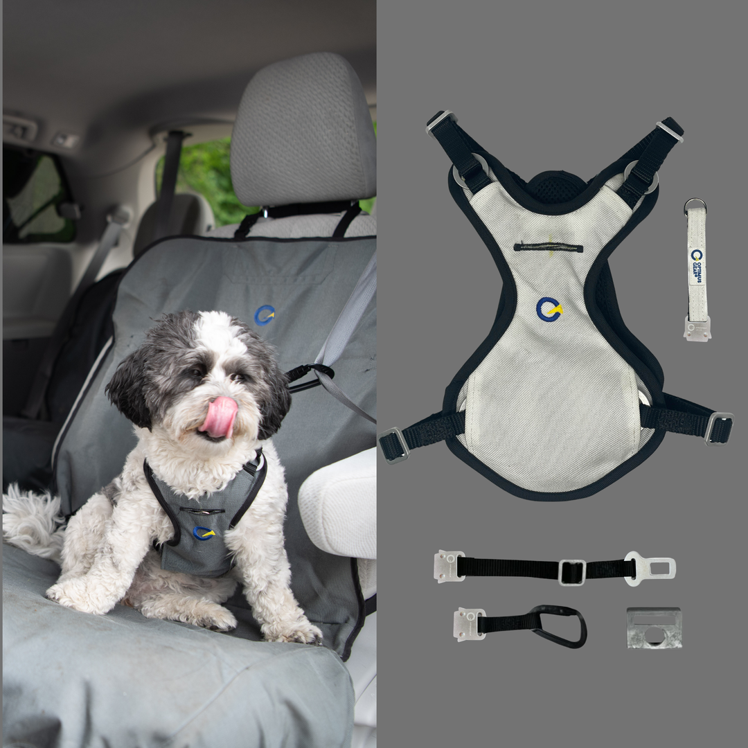 Crash Safe Defender Harness Kits