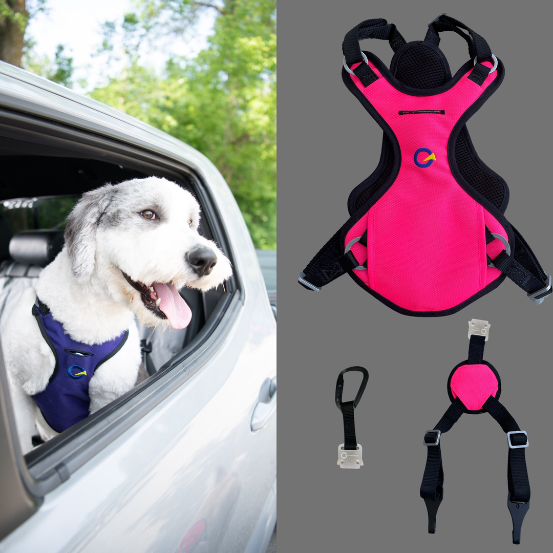 Crash Safe Defender Harness Kits