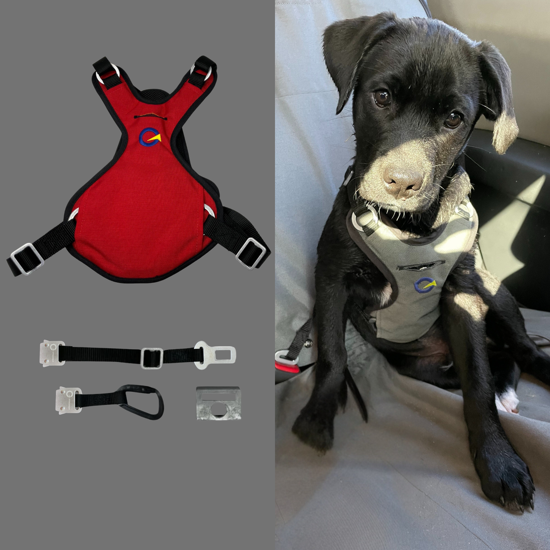 Crash Safe Defender Harness Kits