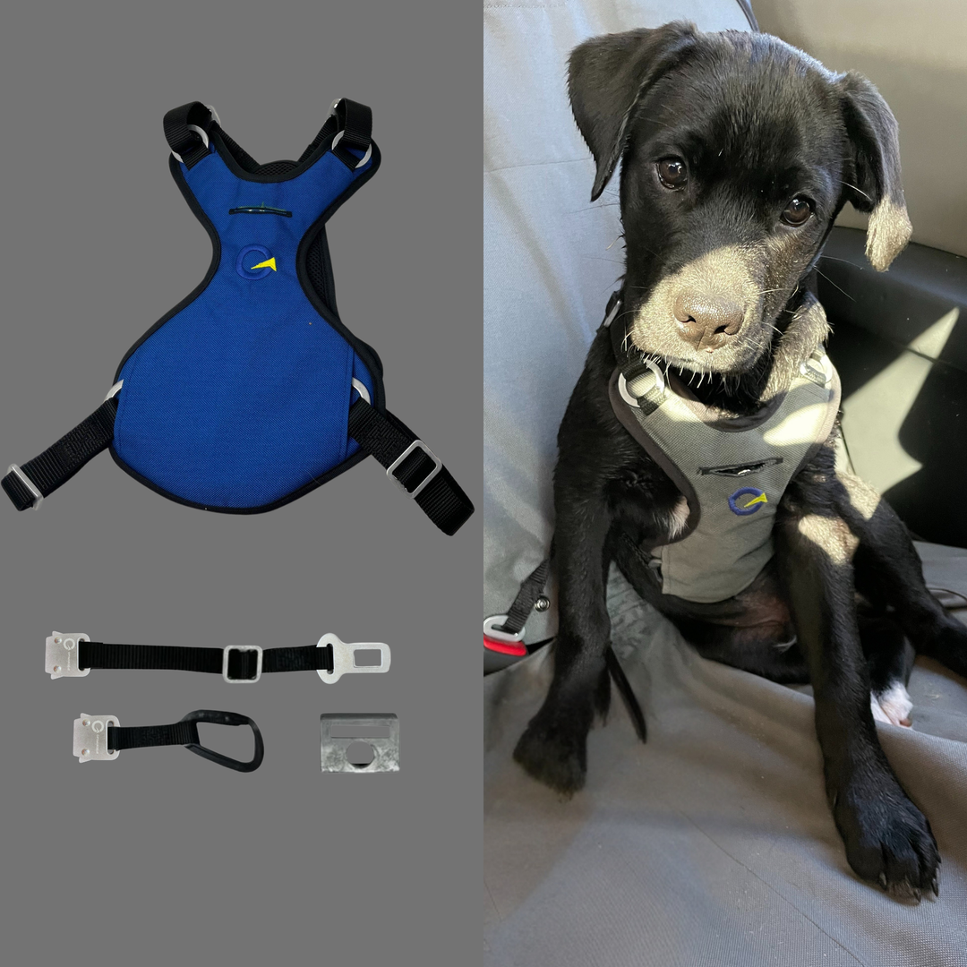 Crash Safe Defender Harness Kits