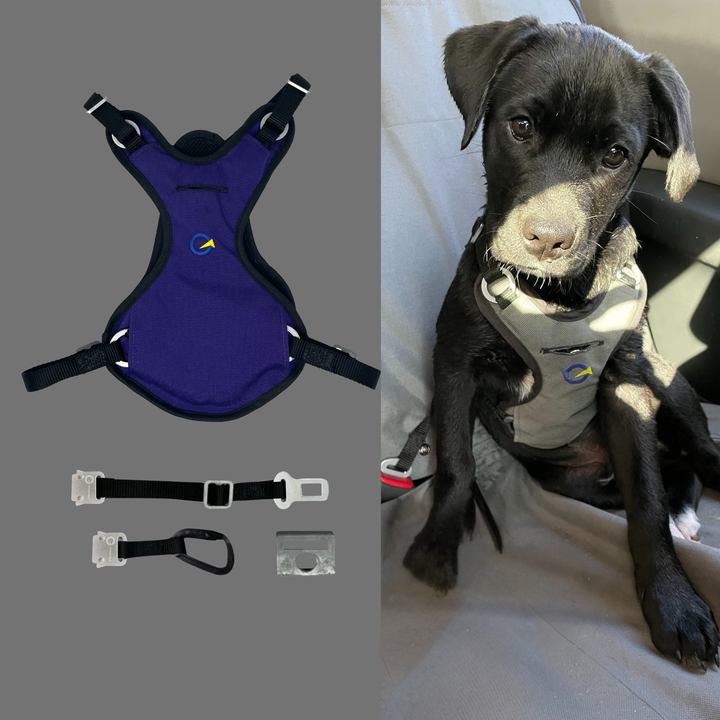 Crash Safe Defender Harness Kits