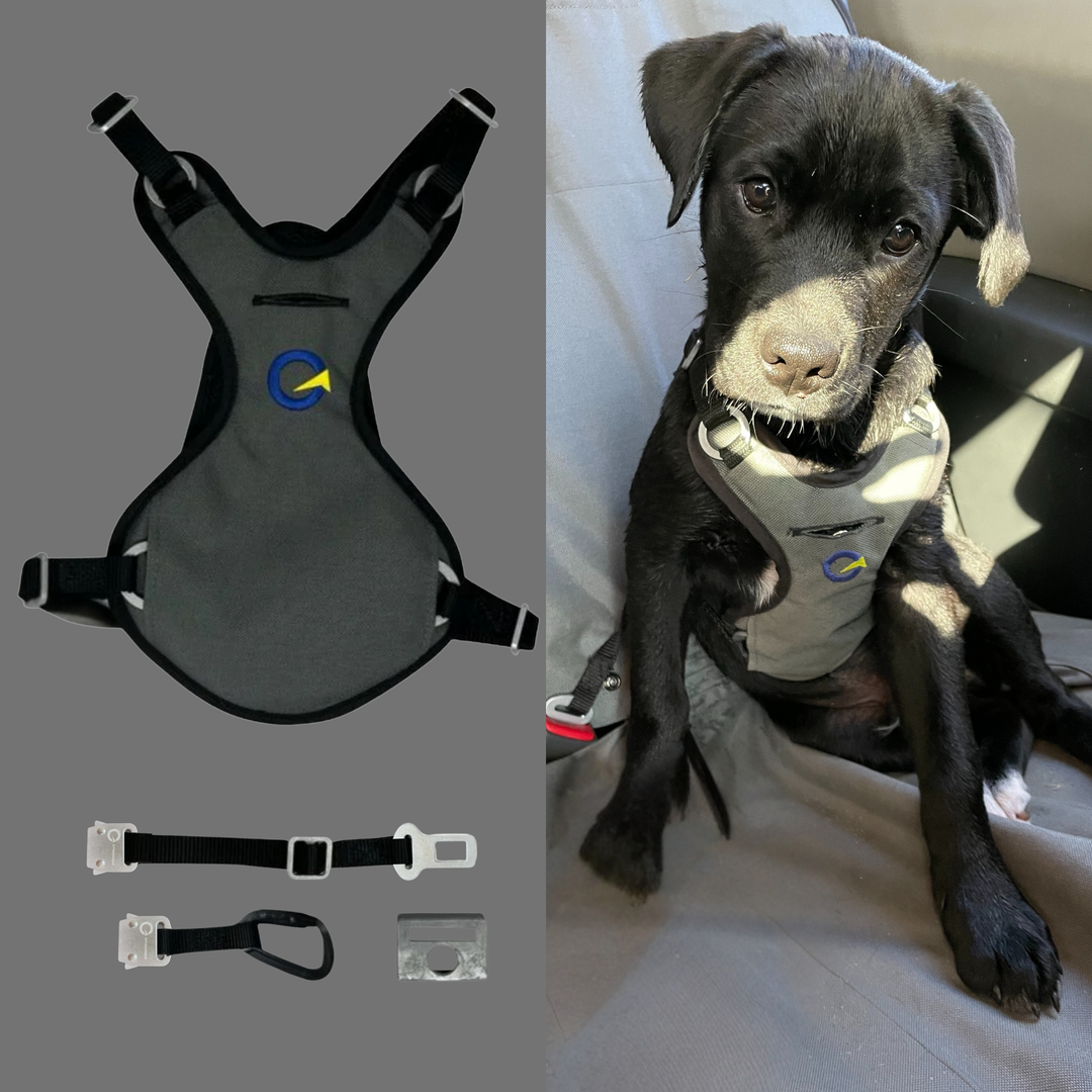 Crash Safe Defender Harness Kits
