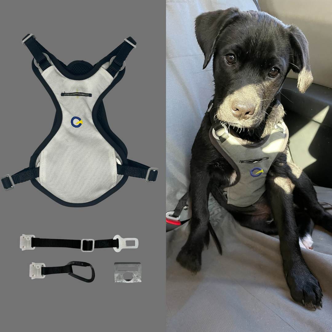 Crash Safe Defender Harness Kits