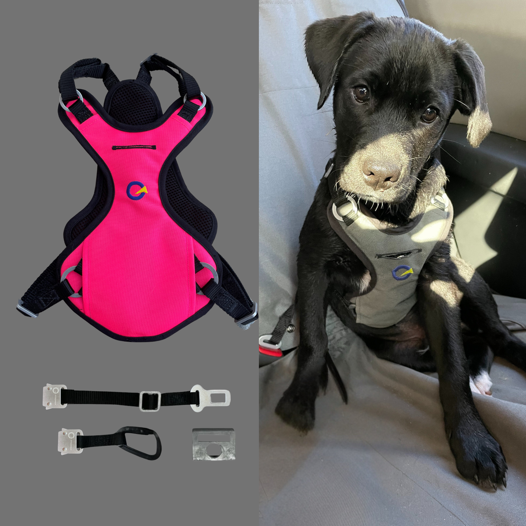 Crash Safe Defender Harness Kits