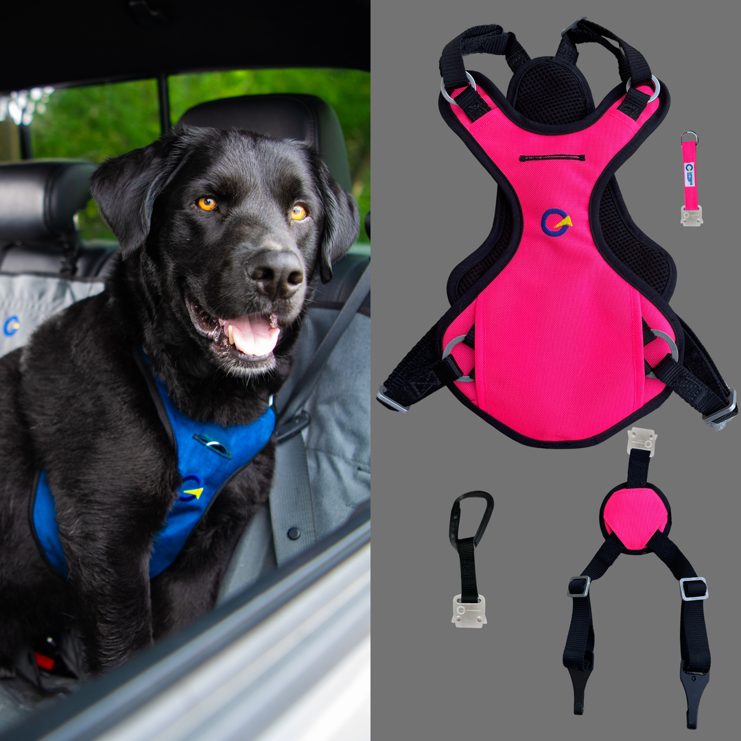 Crash Safe Defender Harness Kits