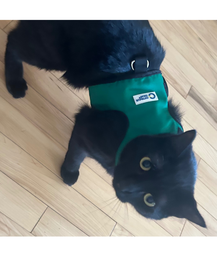 FE-Line Cat Harness
