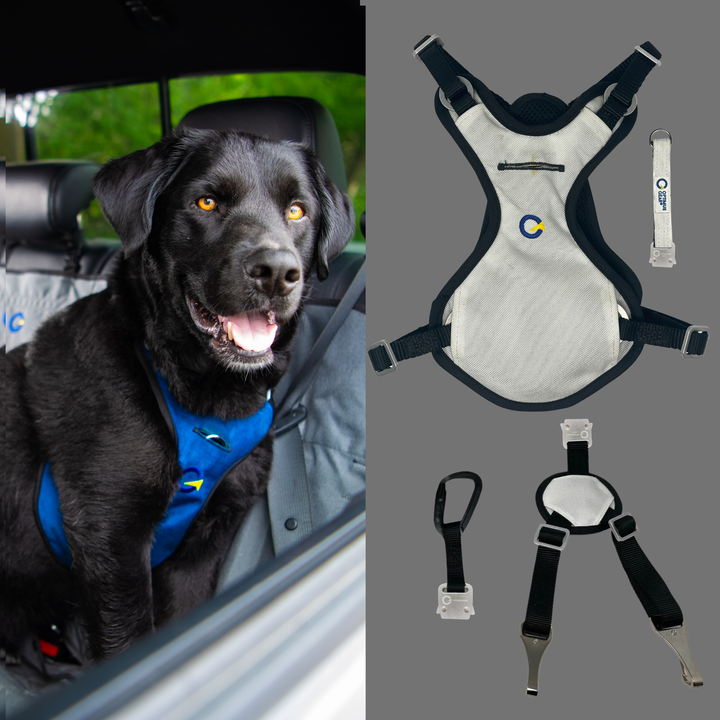 Crash Safe Defender Harness Kits