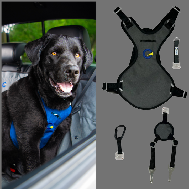 Crash Safe Defender Harness Kits
