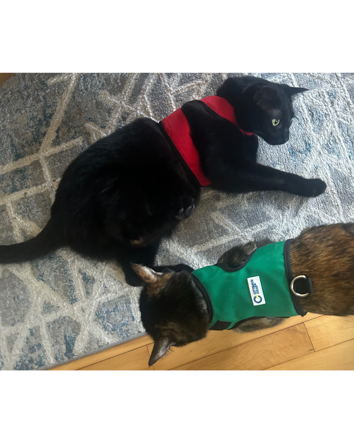 FE-Line Cat Harness