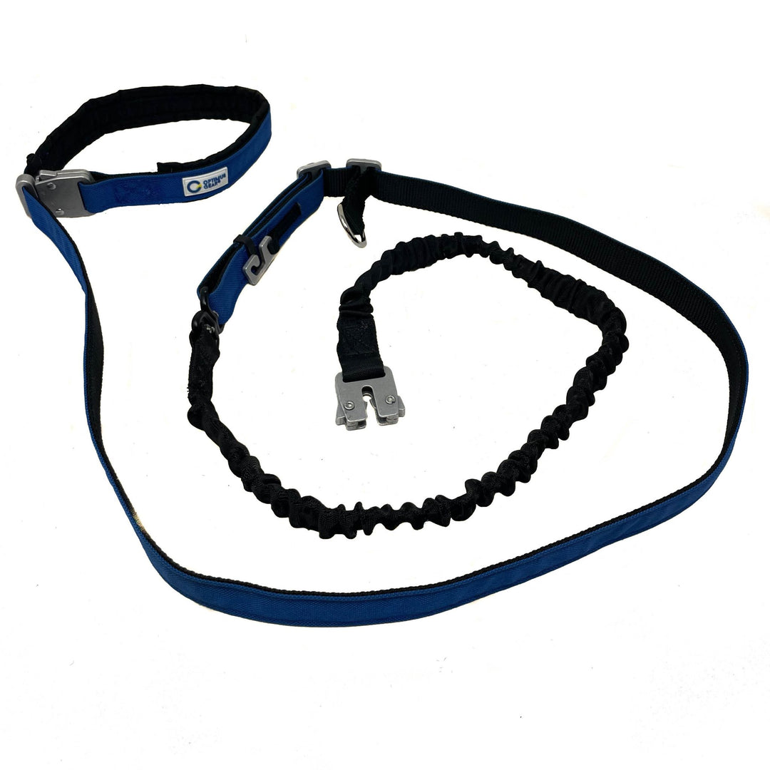 True Control Active Leash