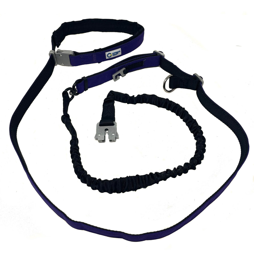 True Control Active Leash