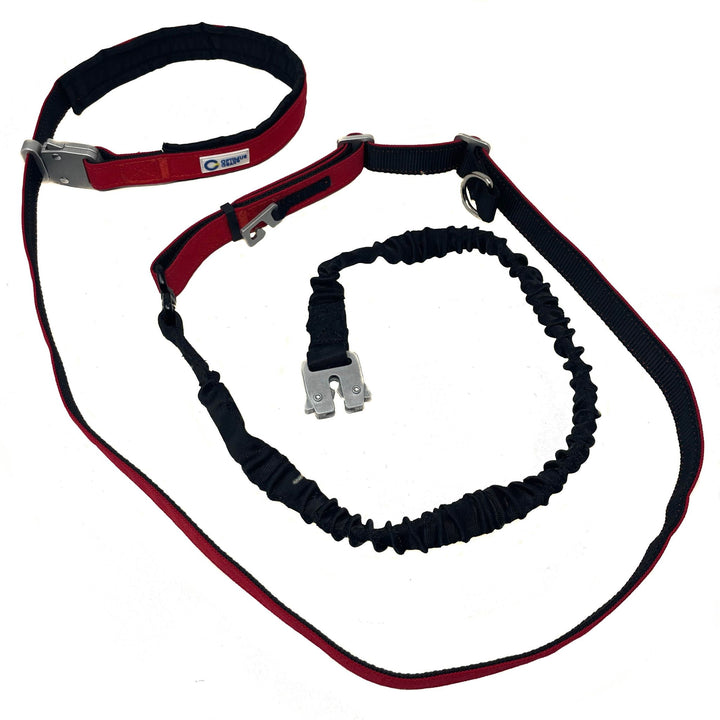True Control Active Leash