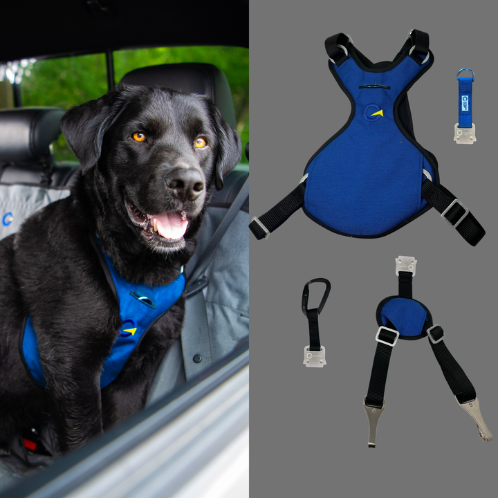 Crash Safe Defender Harness Kits