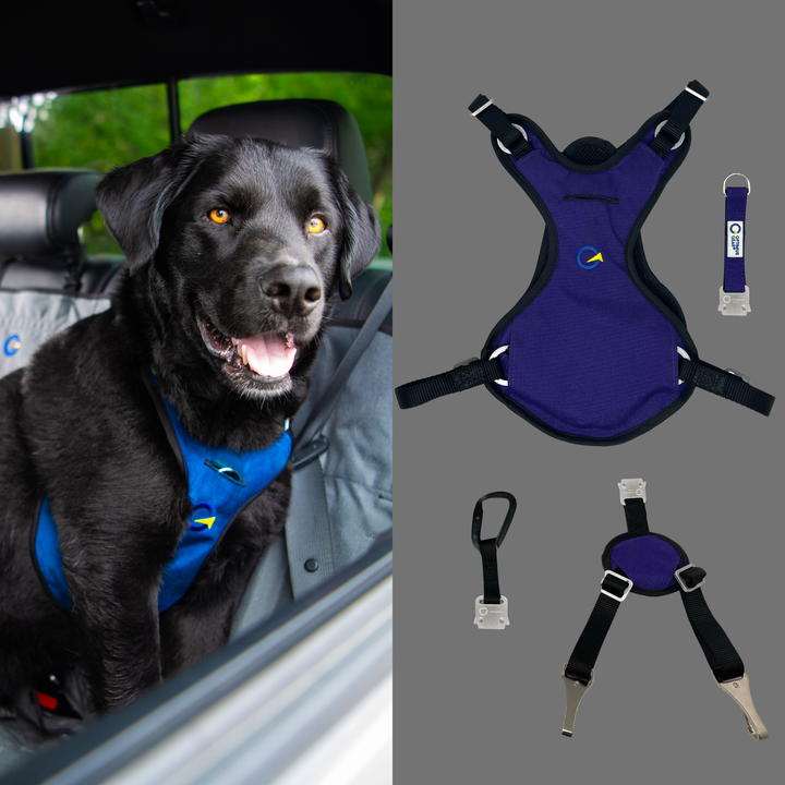 Crash Safe Defender Harness Kits
