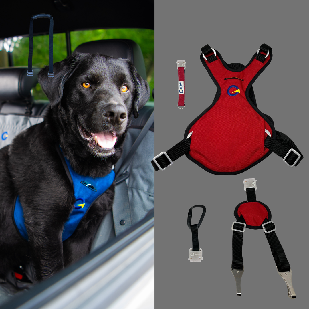 Crash Safe Defender Harness Kits