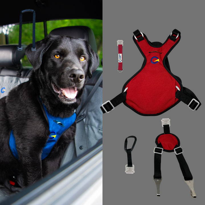 Crash Safe Defender Harness Kits