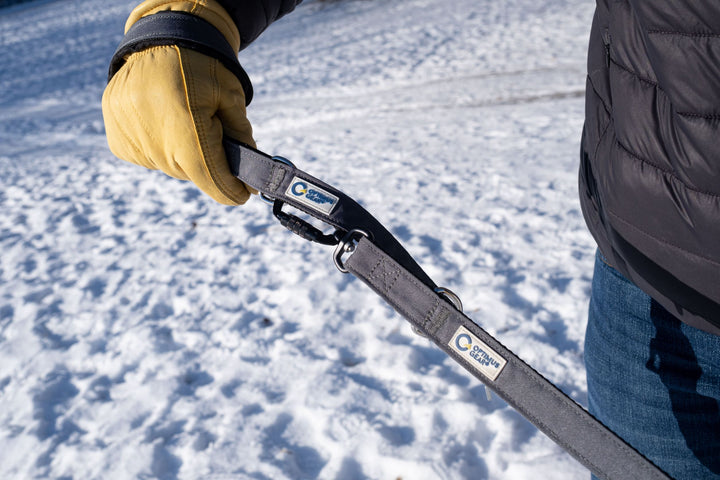 True Control Leash Link