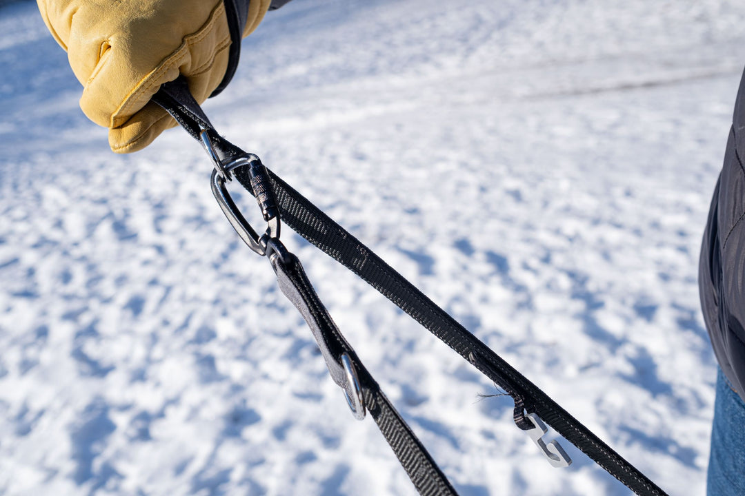 True Control Leash Link