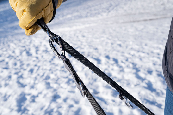 True Control Leash Link