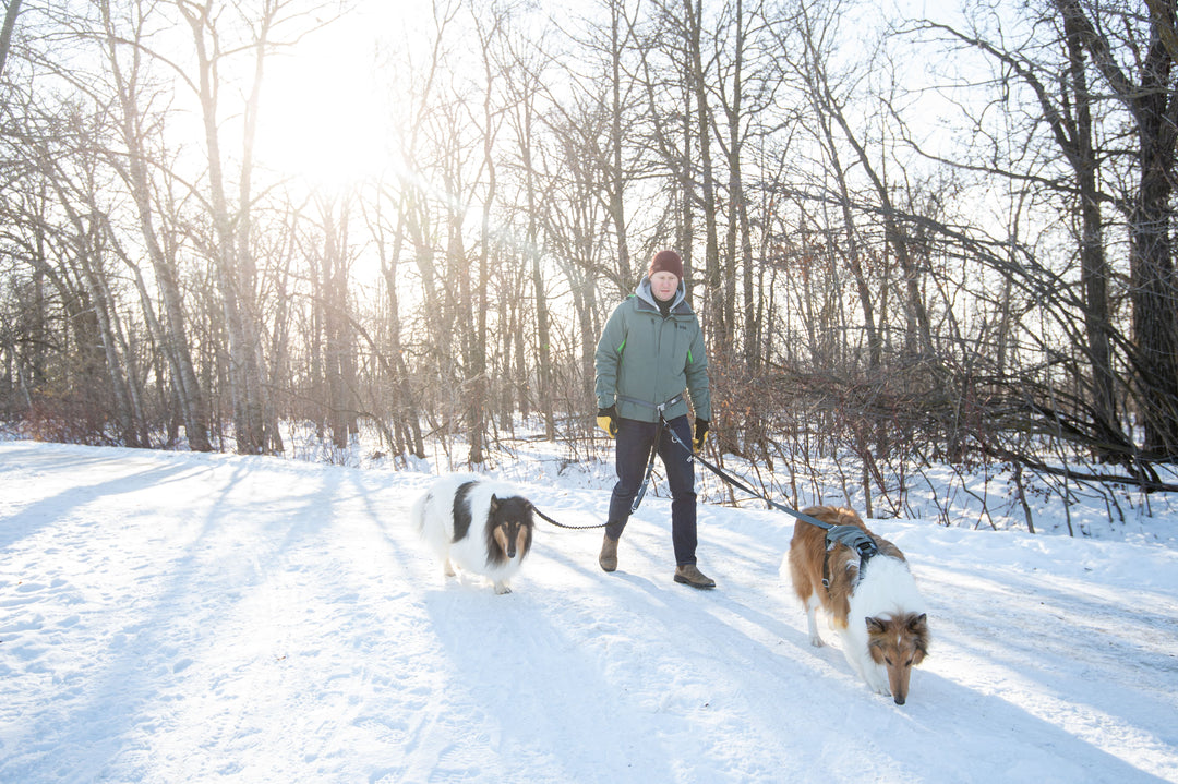 True Control Active Leash