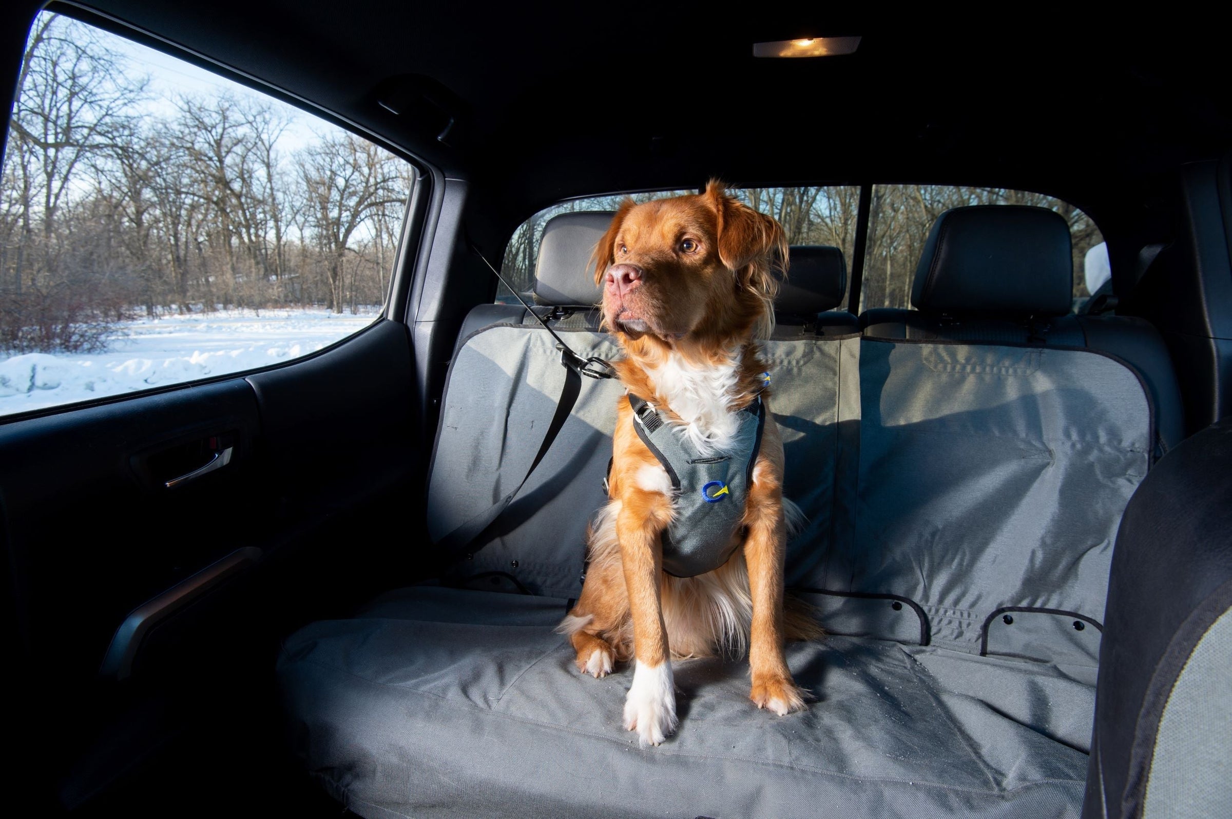 Seat Covers