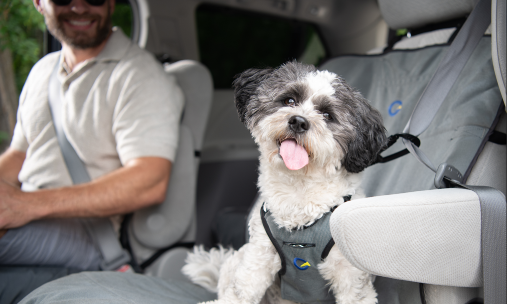 Shop Defender Harness