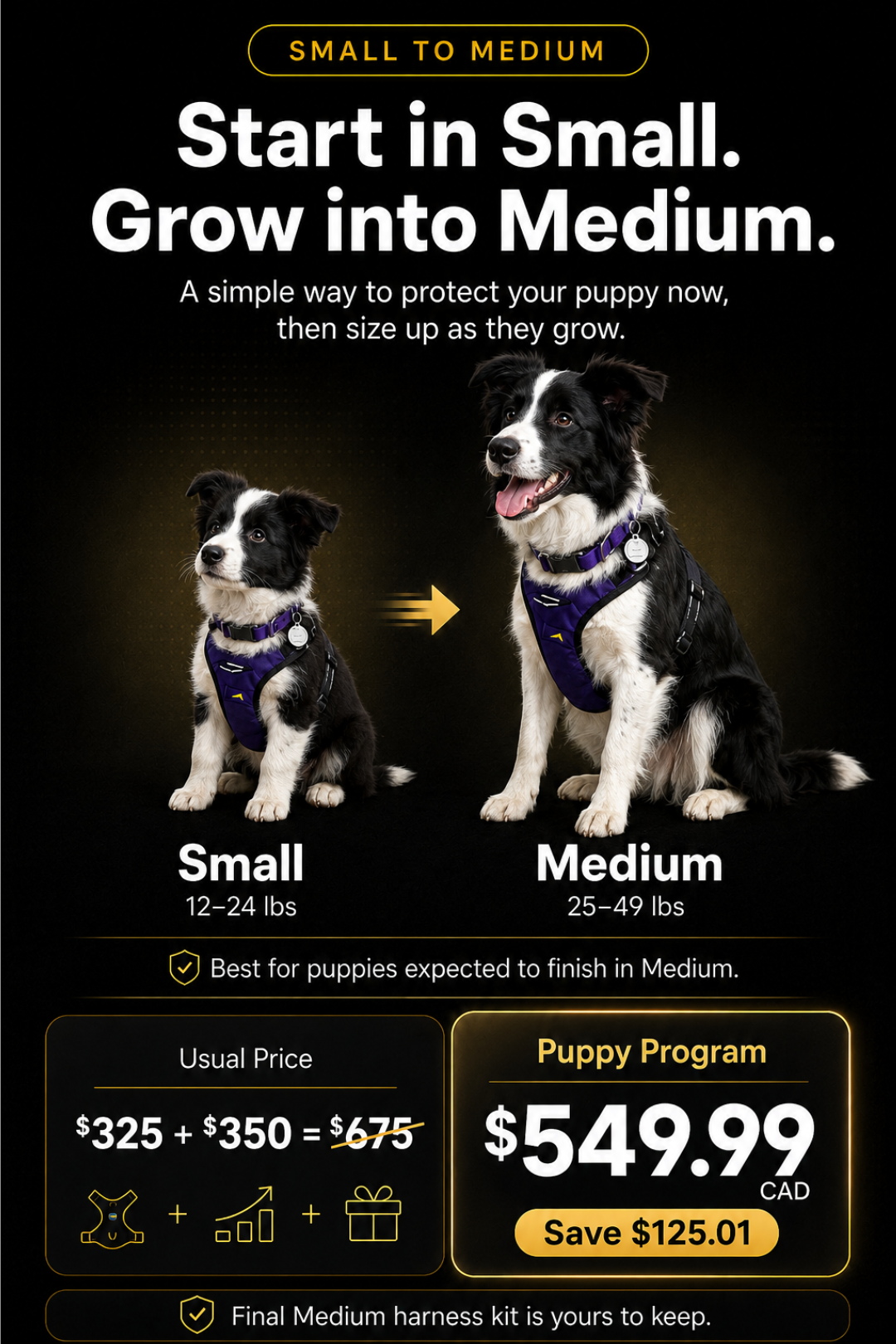 Puppy Growth Program