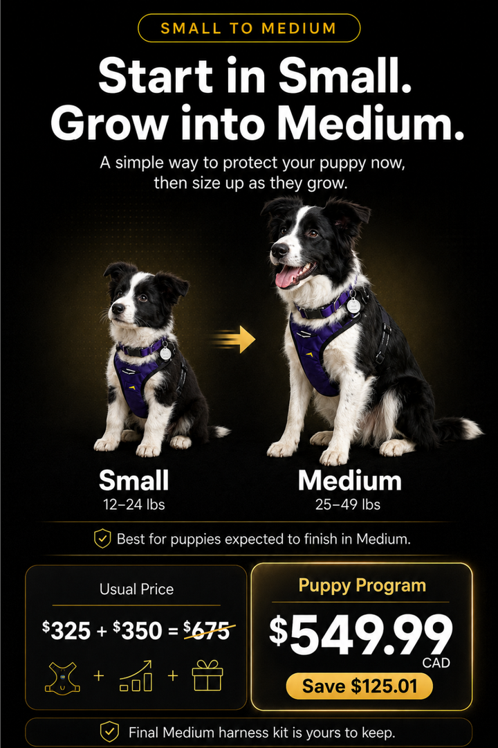Puppy Growth Program