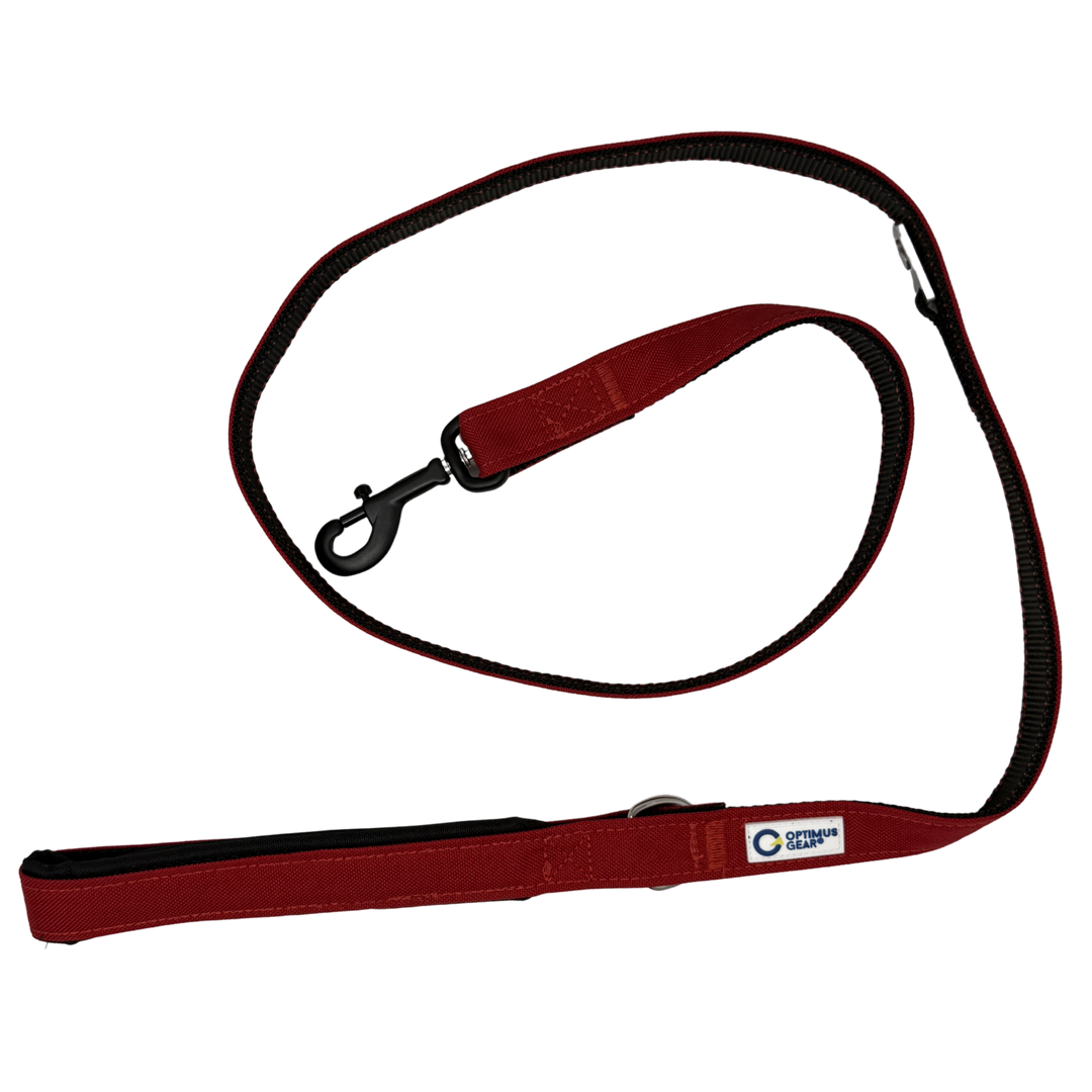 True Control Leash