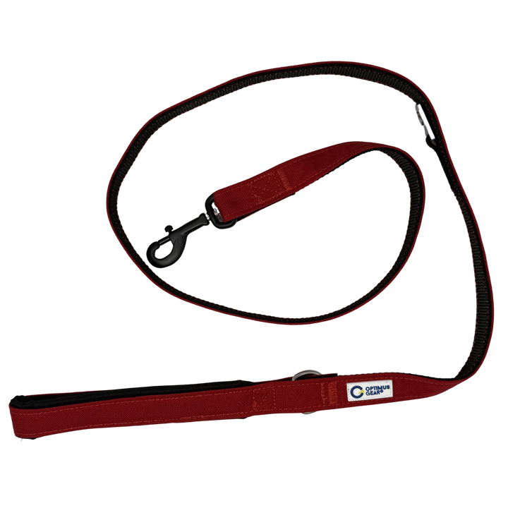 True Control Leash