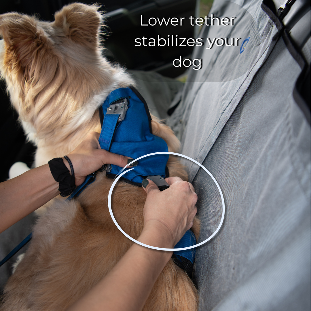Crash Safe Dog Defender Harness