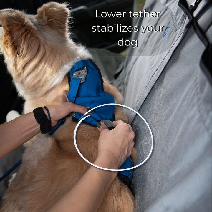 Crash Safe Dog Defender Harness