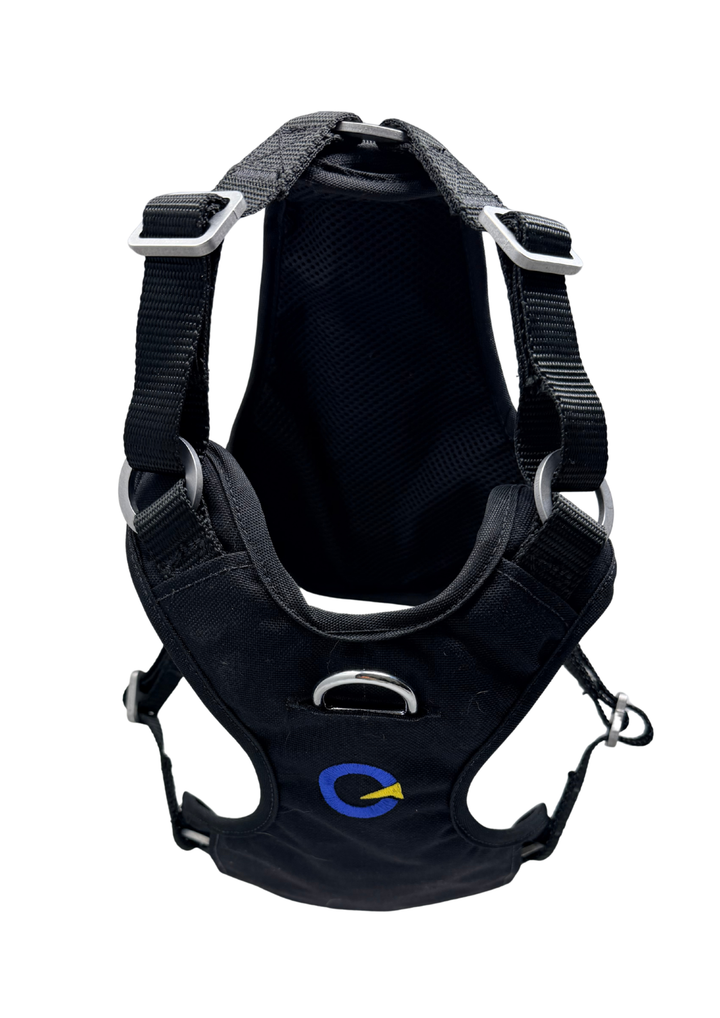 Crash Safe Defender Harness System + Free Grey Collar (Limited-Time Bonus)
