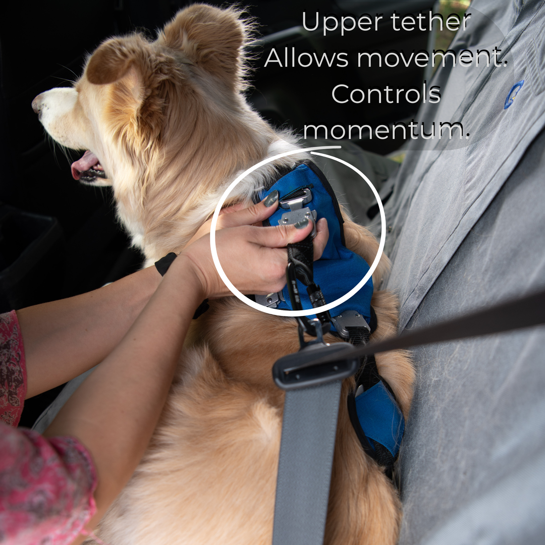 Crash Safe Dog Defender Harness