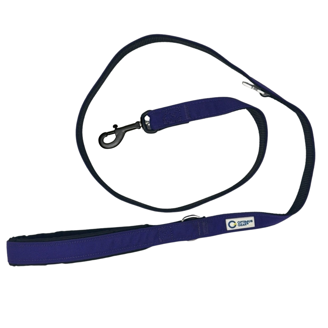 True Control Leash