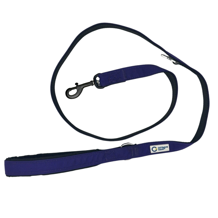True Control Leash