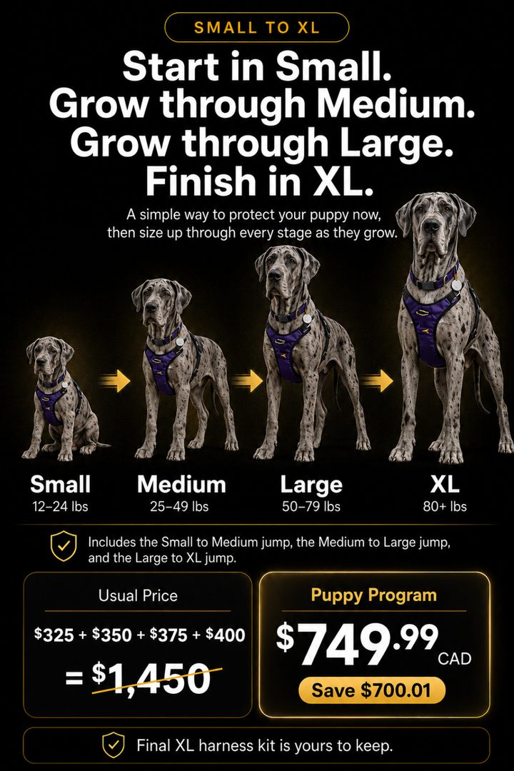 Puppy Growth Program