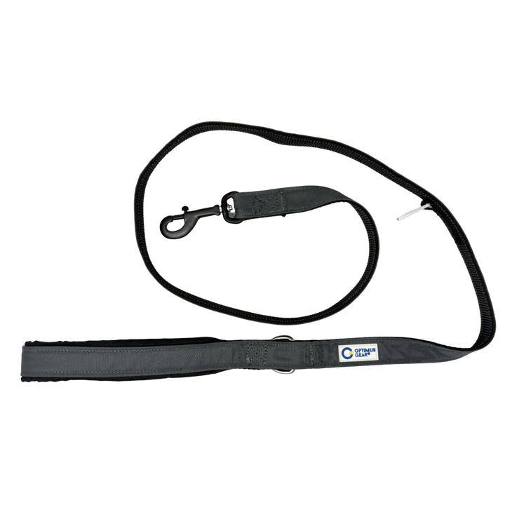 True Control Leash
