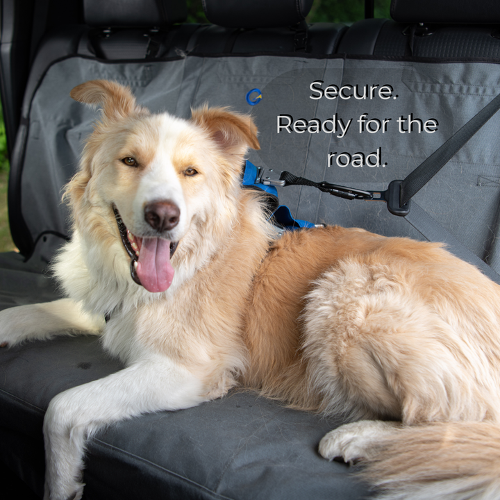 Crash Safe Dog Defender Harness