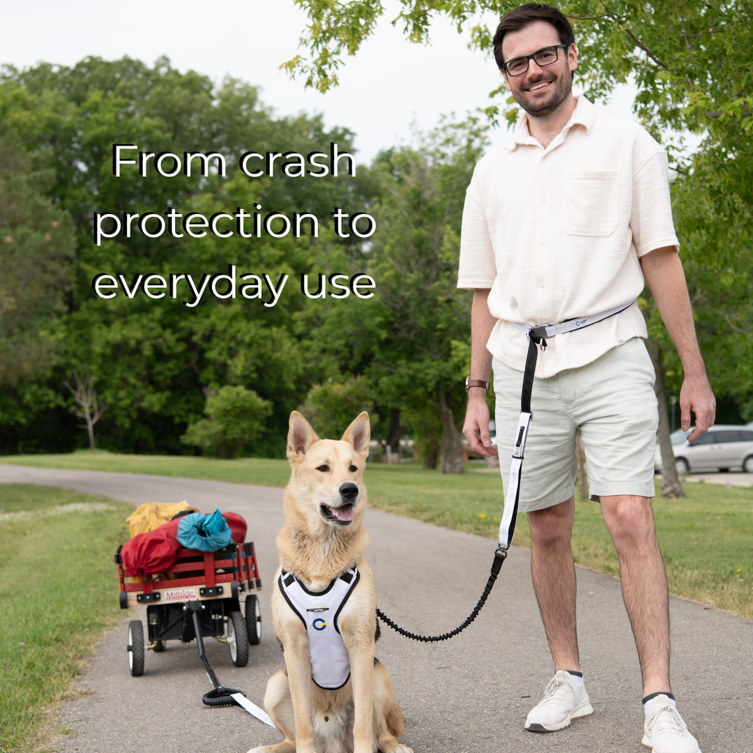 Crash Safe Dog Defender Harness