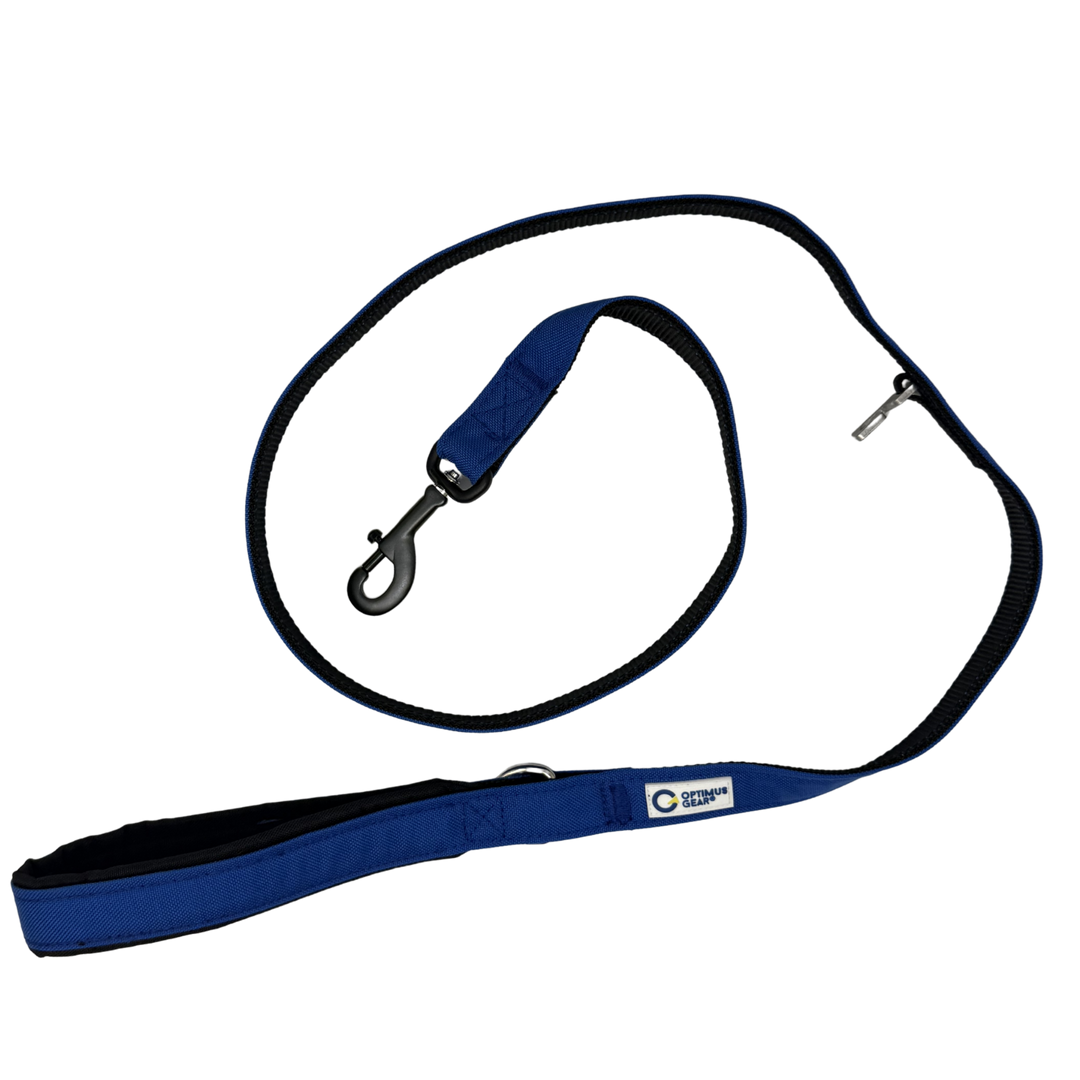 True Control Leash