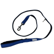 True Control Leash