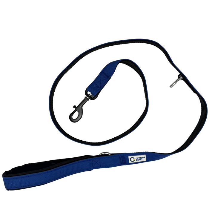 True Control Leash