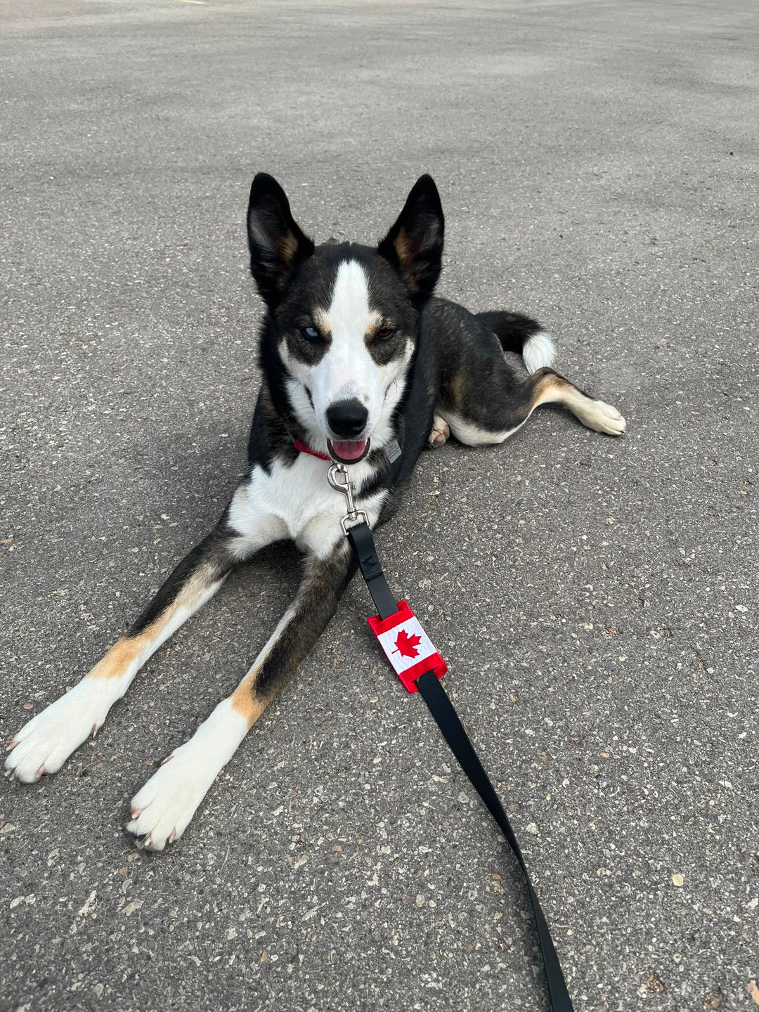Canada Leash Sleeve