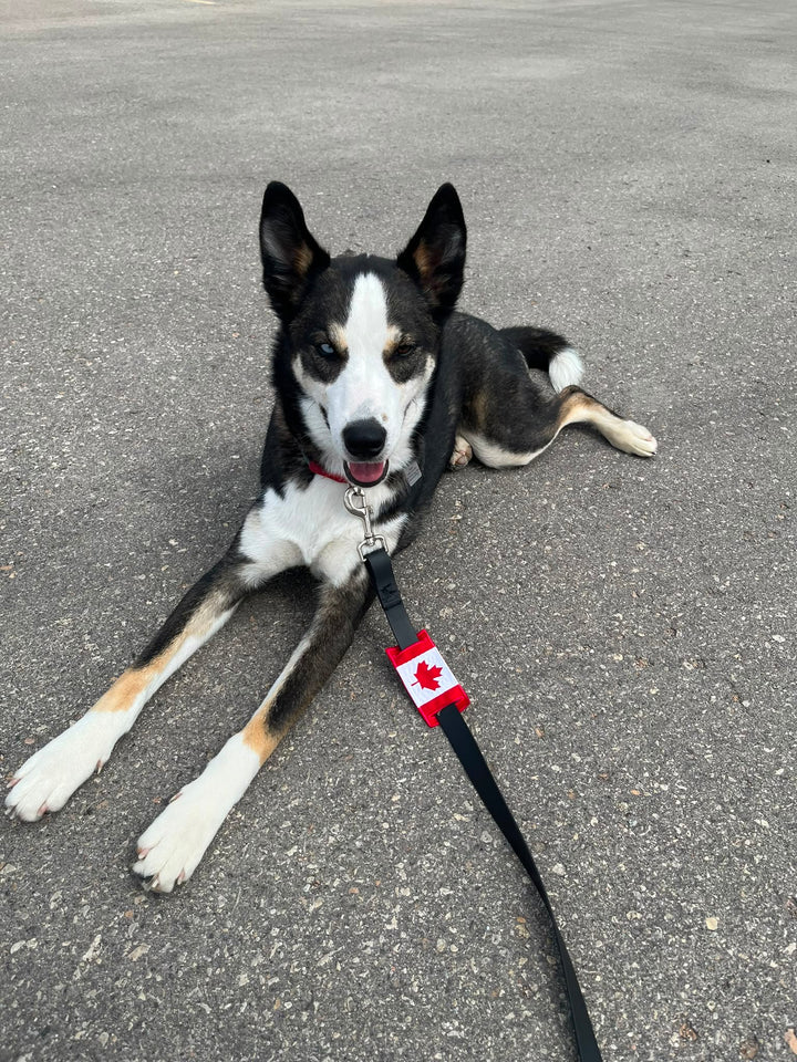Canada Leash Sleeve