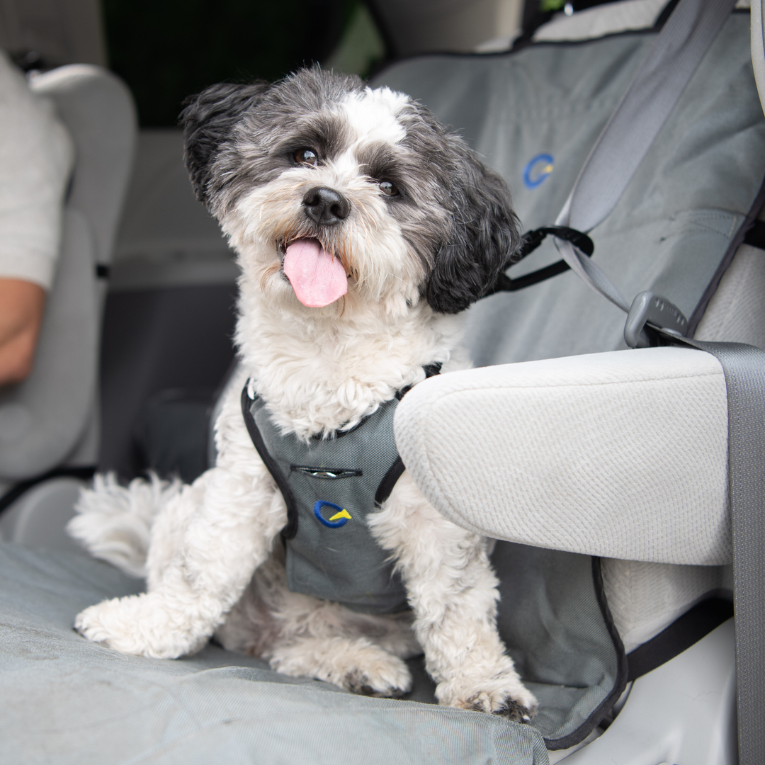 Defender Harness System