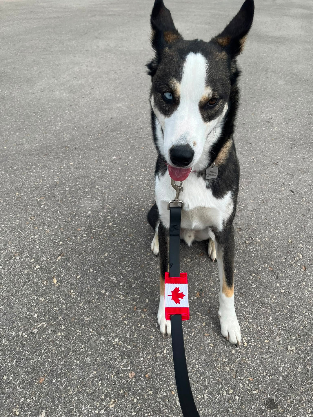 Canada Leash Sleeve