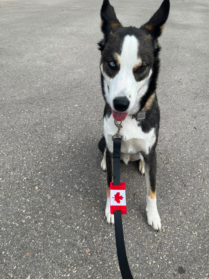 Canada Leash Sleeve