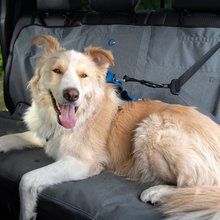 Defender Harness System