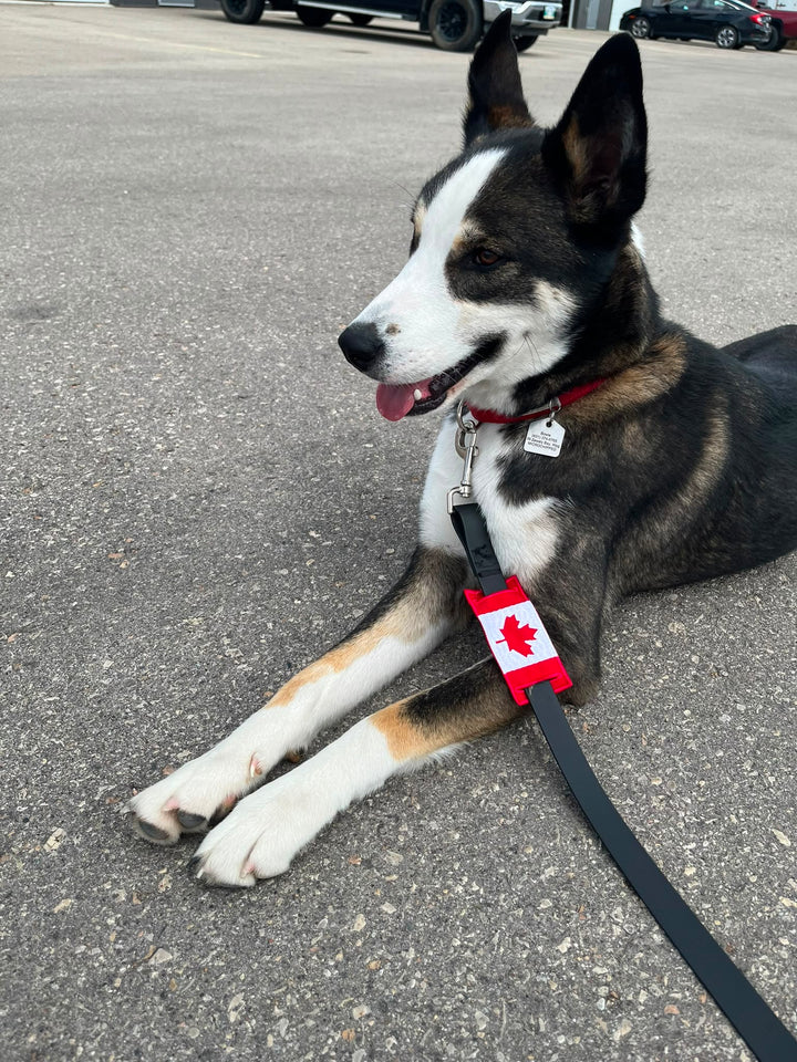 Canada Leash Sleeve